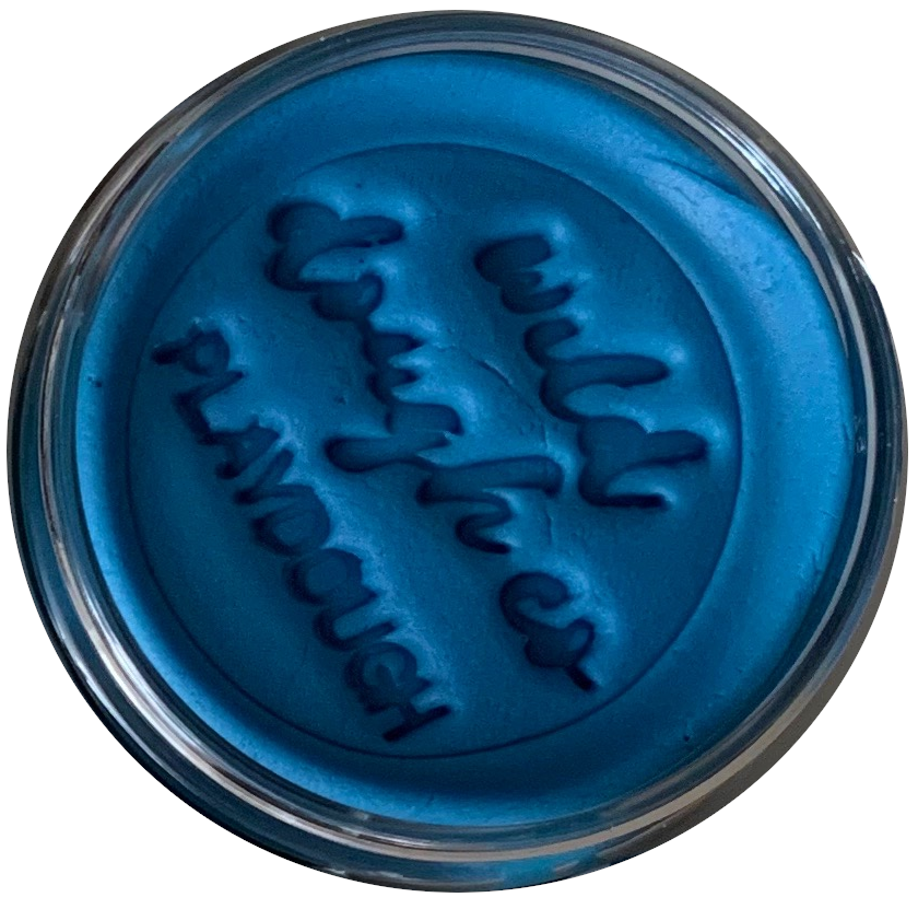 Wild Dough - Pacific Blue Playdough